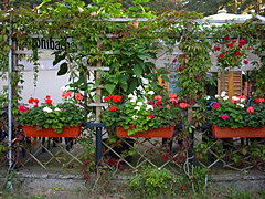 Willkommen im Biergarten